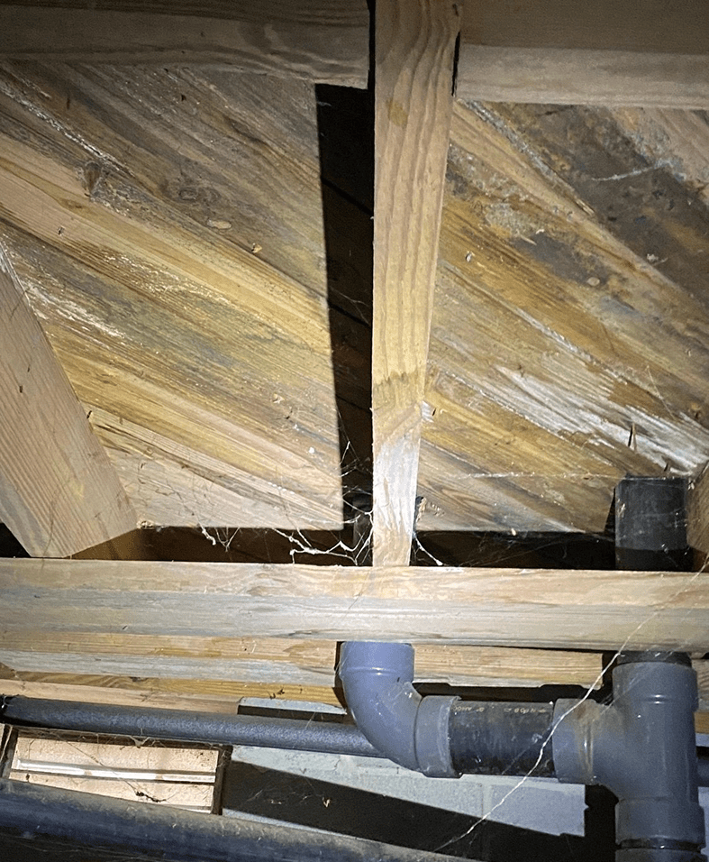 Wooden beams and plumbing pipes with cobwebs.