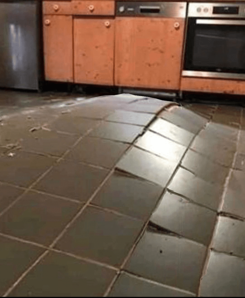 Kitchen tiles bulging upward from the floor.