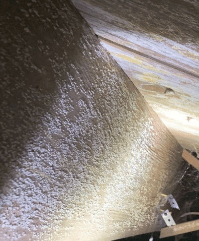 Wooden surface with white speckled mold growth.