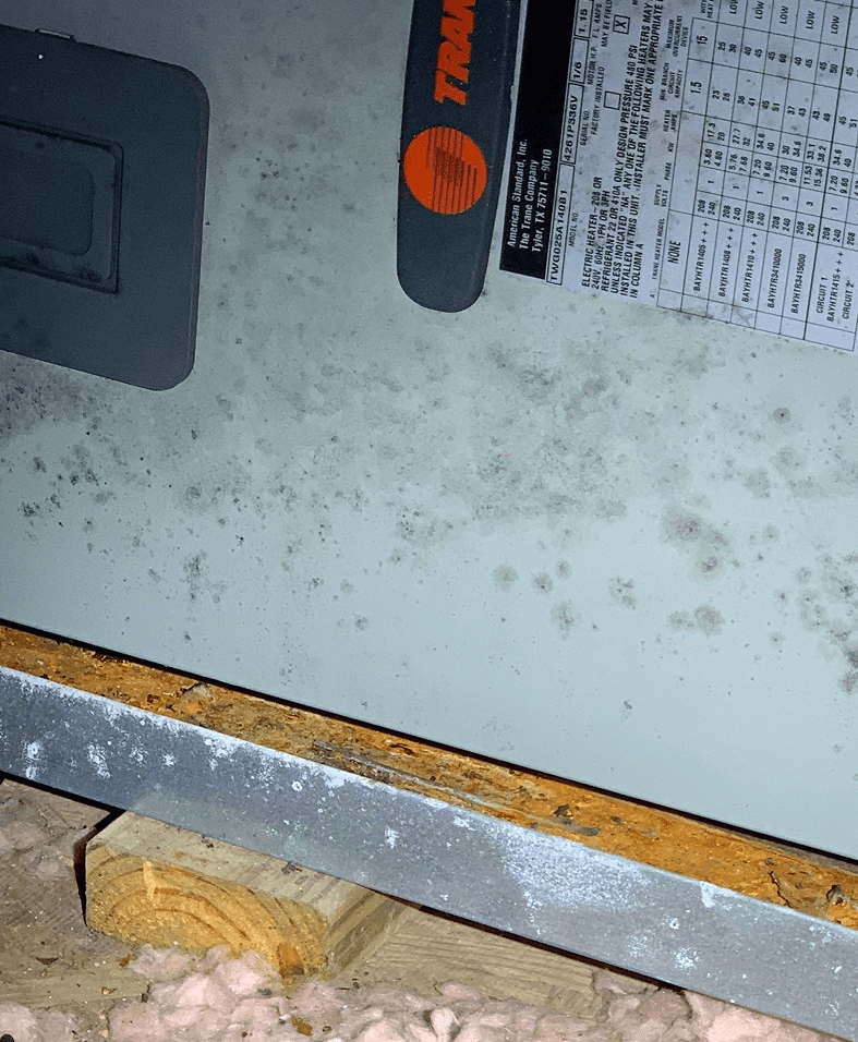 Air conditioning unit with visible mold growth.