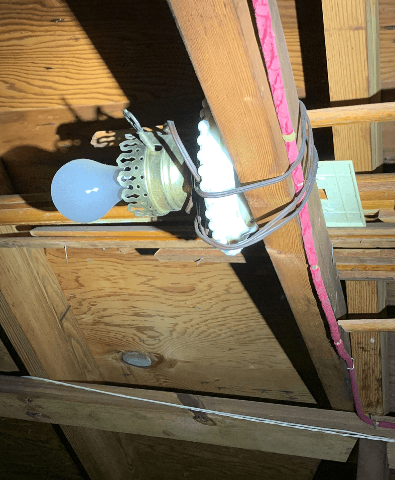 Exposed light bulb in wooden ceiling space.