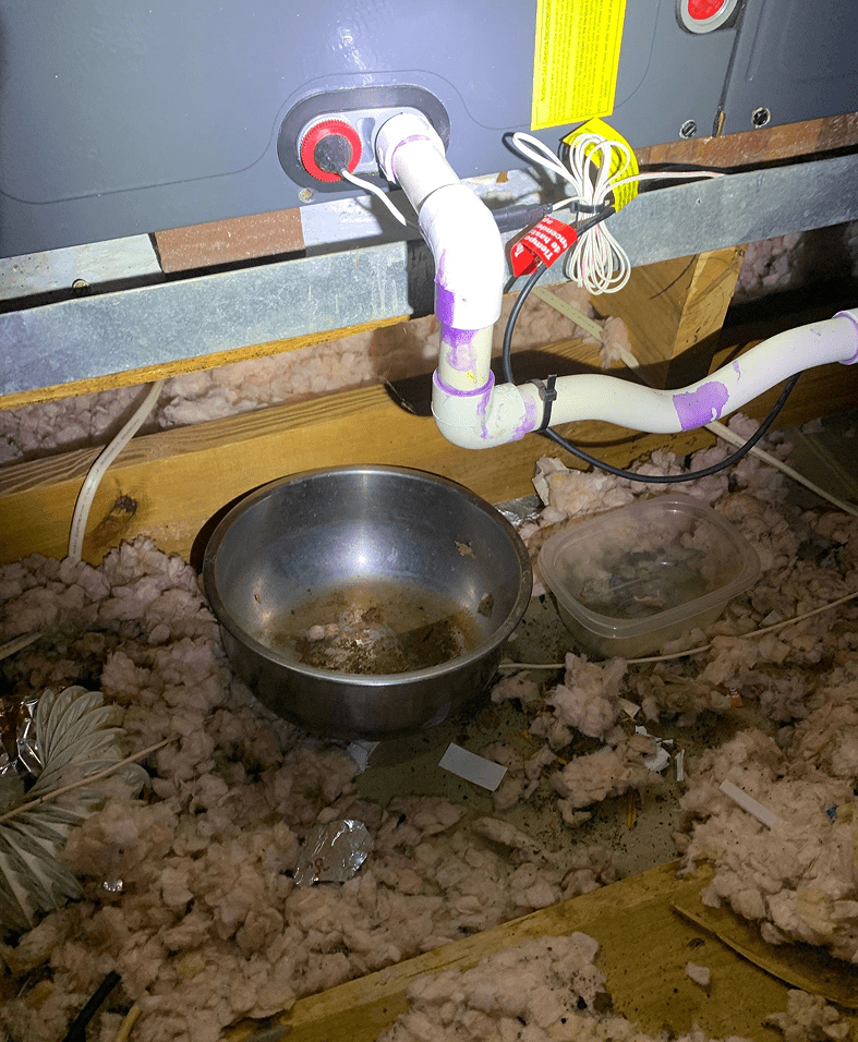 Attic water heater leak with collection bowl.