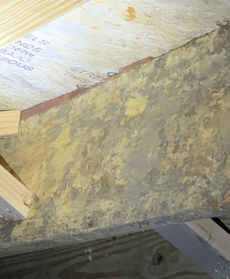 Moldy wooden surface in a construction area.